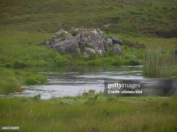 Felsen und Blumen prägen die Landschaft auf der Halbinsel Connemara, die unter Naturschutz steht, aufgenommen am 19. Juli 2015 bei Oughterard