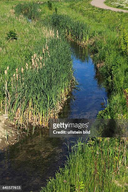 Dortmund, Ruhr area, Westphalia, North Rhine-Westphalia, NRW, D-Dortmund-Hoerde, renaturated Emscher, river, brook, meadow landscape