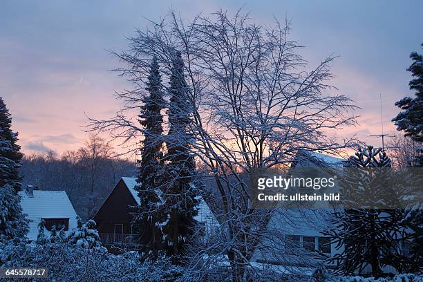 Winter, weather, snow, snowy landscape, trees, park, evening mood, sunset, afterglow, residential buildings, housing estate, D-Oberhausen,...