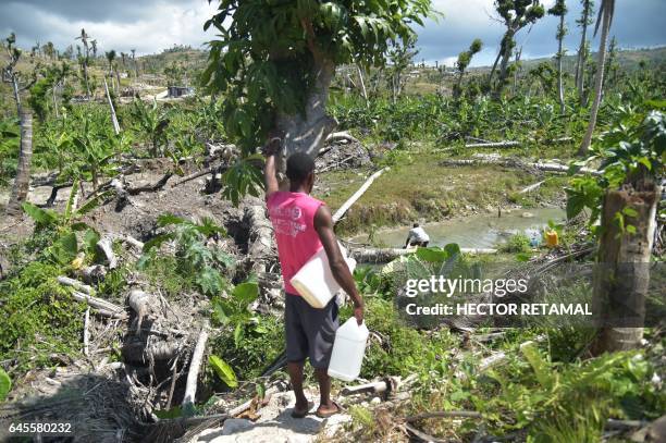 Wilfrid collects water before taking a bath in a canal in the middle of vegetation that was destroyed by the passage of Hurricane Matthew, last year,...