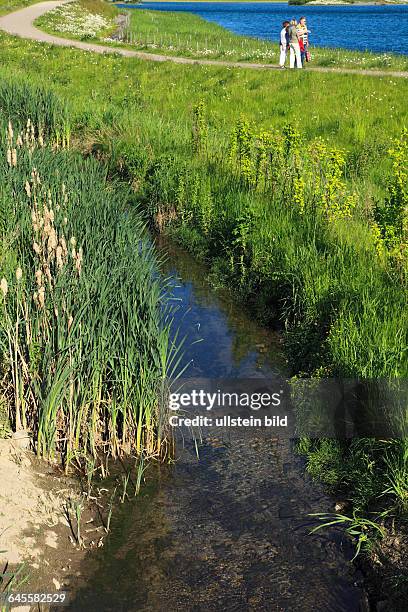 Dortmund, Ruhr area, Westphalia, North Rhine-Westphalia, NRW, D-Dortmund-Hoerde, renaturated Emscher, river, brook, meadow landscape