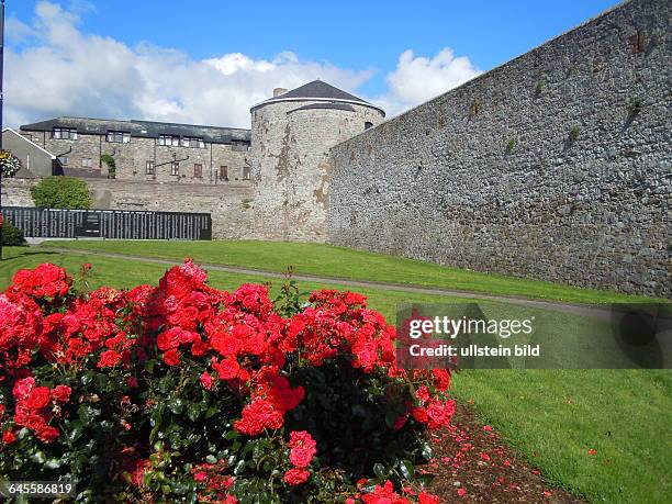 An den Mauern der historischen Burg befindet sich eine meterlange Gedenktafel mit den Namen aller Ofer des Ersten Weltkrieges aus der Region, am 25....