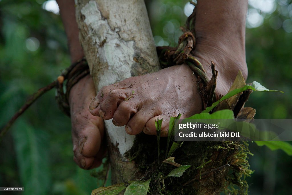 Ecotourism with native Huaorani nation at Yasuni National Park. Amazon, Ecuador