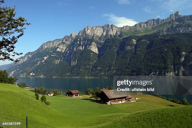 Walensee Background 191 Walensee Stock Photos, High-Res Pictures, and Images - Getty Images