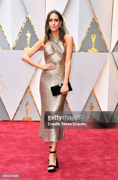 Personality Louise Roe attends the 89th Annual Academy Awards at Hollywood & Highland Center on February 26, 2017 in Hollywood, California.