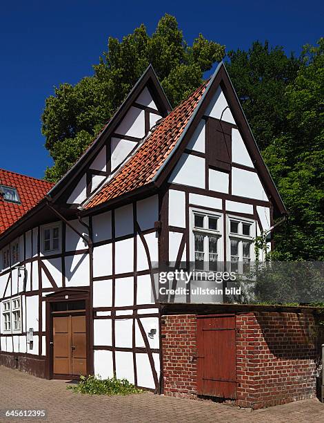 Blomberg, Lipper Bergland, Lippisches Bergland, Weserbergland, Teutoburg Forest / Egge Hills Nature Park, East Westphalia, Westphalia, North...