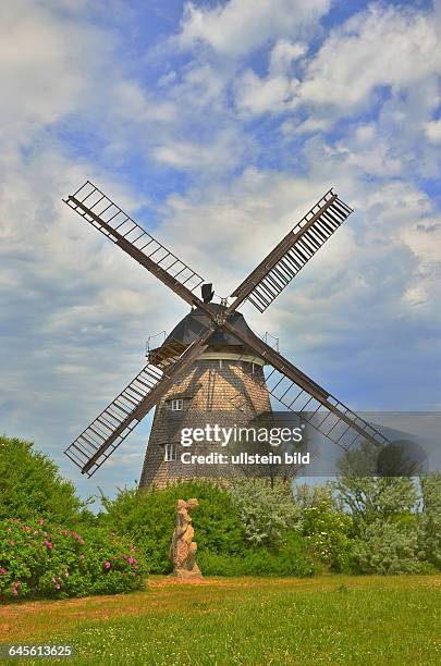 Insel Usedom, die Museumsmuehle Benz ist eine Erdhollaenderwindmuehle. Die erste bildliche Darstellung ist eine Zeichnung von Lyonel Feininger von...