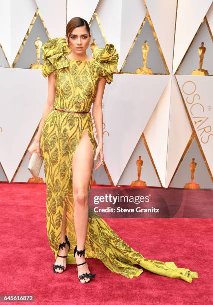 Actor Blanca Blanco attends the 89th Annual Academy Awards at Hollywood & Highland Center on February 26, 2017 in Hollywood, California.