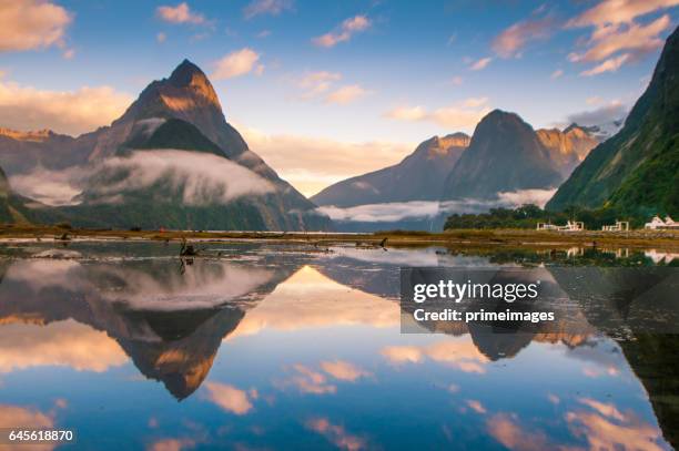 the milford sound fiord. fiordland national park, new zealand - milford sound stock pictures, royalty-free photos & images