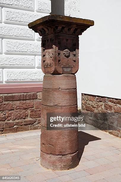 Blomberg, Lipper Bergland, Lippisches Bergland, Weserbergland, Teutoburg Forest / Egge Hills Nature Park, East Westphalia, Westphalia, North...