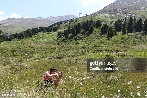 Österreich Tirol Ötztal Alpen Berge Gebirge alpin Obergurgl RotmoostalGebirgswiese mit Wollgrasjunge Frau macht Fotomodel released