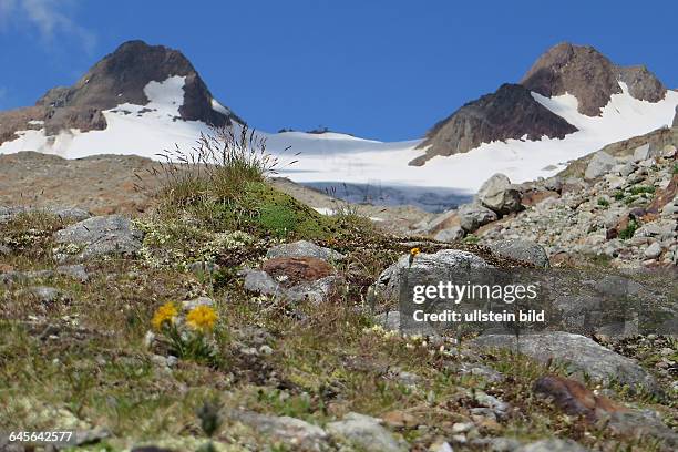 Österreich Tirol Ötztal Alpen Berge Gebirge alpin Ache Sölden Landschaft BerglandschaftGipfelpanorama Gletscher Berggipfel Ansichtzwischen Rettenbach...