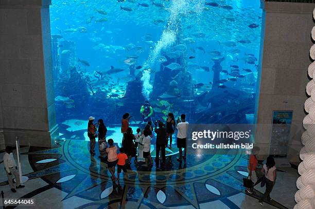 Lost Chambers, Fuetterung der Fische im Seewasseraquarium