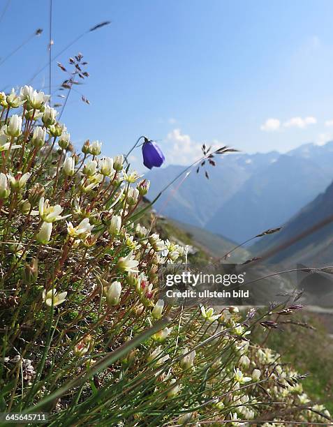 Österreich Tirol Ötztal Alpen Berge Gebirge alpin Ache Sölden Landschaft BerglandschaftGipfelpanorama Gletscher Berggipfel Ansichtzwischen Rettenbach...