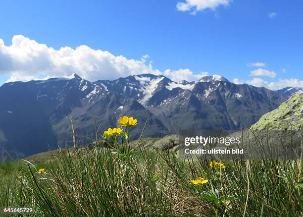 Österreich Tirol Ötztal Alpen Berge Gebirge alpin Ache Sölden Landschaft BerglandschaftGipfelpanorama Gletscher Berggipfel Ansichtzwischen Rettenbach...