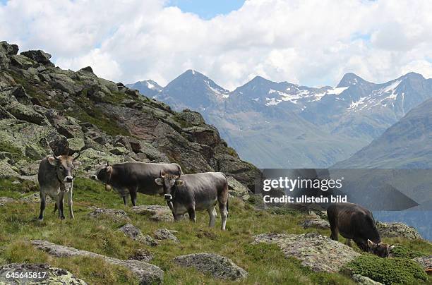 Österreich Tirol Ötztal Alpen Berge Gebirge alpin Ache Sölden Landschaft BerglandschaftGipfelpanorama Gletscher Berggipfel AnsichtNähe Silbertalalm...