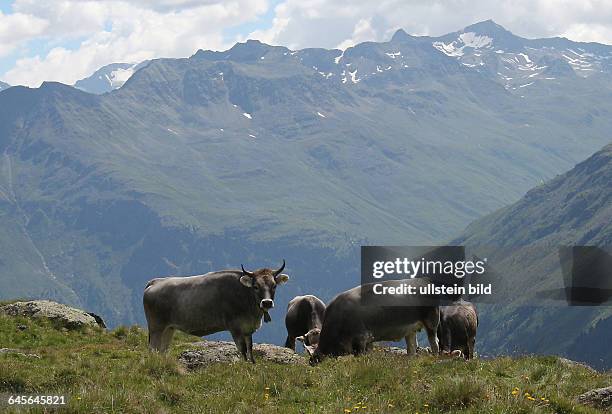 Österreich Tirol Ötztal Alpen Berge Gebirge alpin Ache Sölden Landschaft BerglandschaftGipfelpanorama Gletscher Berggipfel AnsichtNähe Silbertalalm...