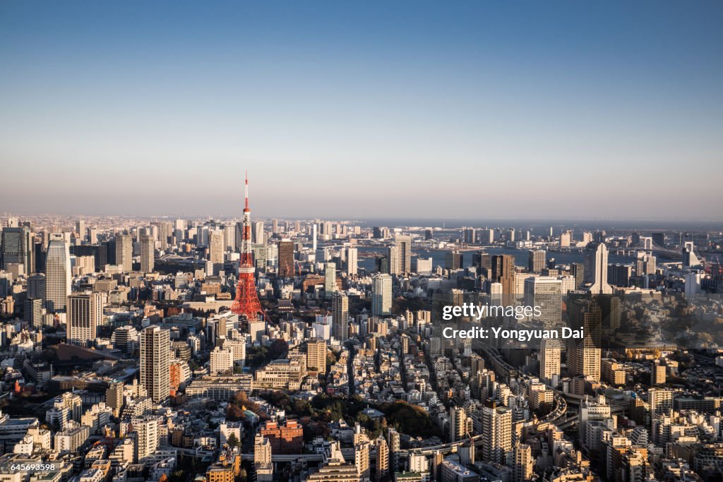 Aerial View of Tokyo Skyline
