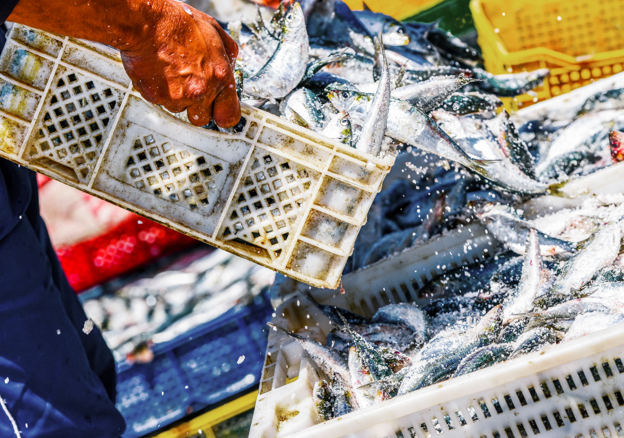 fishing knowledge