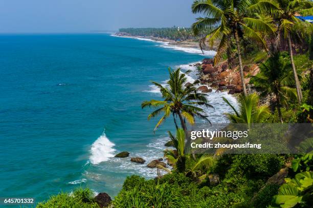 the beach of trivandrum' india - malabar coast stock pictures, royalty-free photos & images