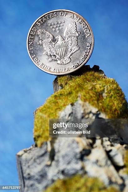 Silberdollar auf Klippe, Fiskalklippe
