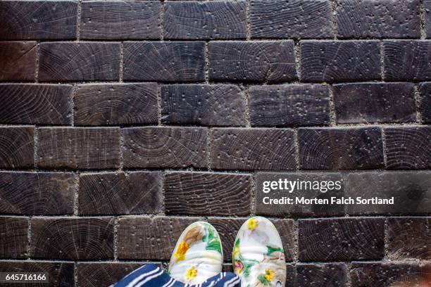 pimpsolls - christiansborg stockfoto's en -beelden