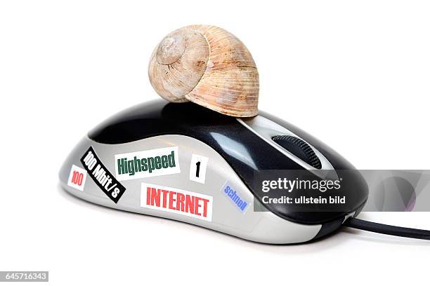 Computermouse mit Aufklebern und Schneckenhaus, Symbolfoto Übertragungsgeschwindigkeit