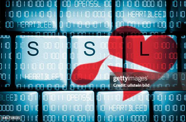 Computertasten mit SSL-Schriftzug und Binärcode, Sicherheitslücke Heartbleed in OpenSSL