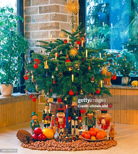 Weihnachtlicher Gabentisch in einem Landhaus mit Weihnachtsbaum, erzgebirgischen Nussknackern, Raeuchermaennern, Haselnuessen und Obst