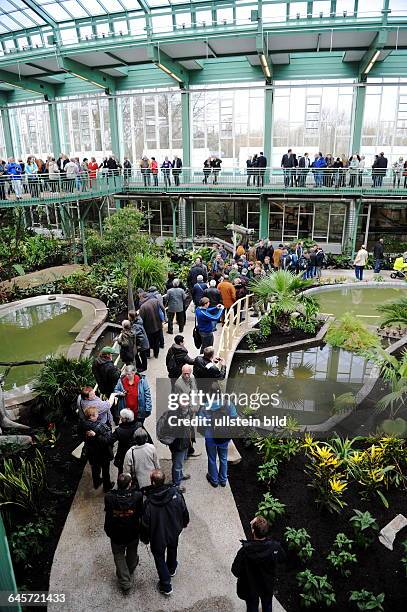 Berlin, Tropenhaus im Alfred-Brehm-Haus des Berliner Tierparks nach Sanierung wiedereröffnet.