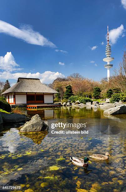 Japanischer Garten im Park Planten un Blomen in Hamburg, Deutschland, Europa