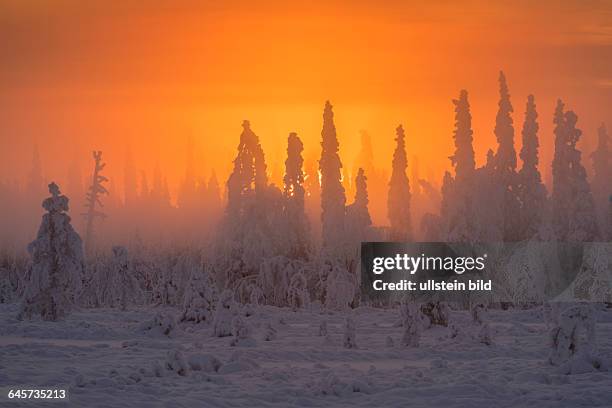 Landschaft im Gegenlicht, Schwedisch-Lappland, Skandinavien