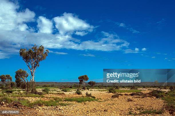 Trockenlandschaft in Westaustralien / dry landscape in Western Australia