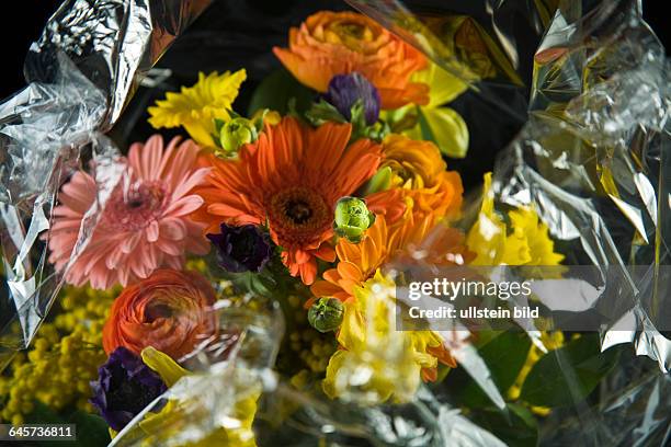 Blumenstrau? in Cellophan eingepackt - flower bouquet in cellophane packed