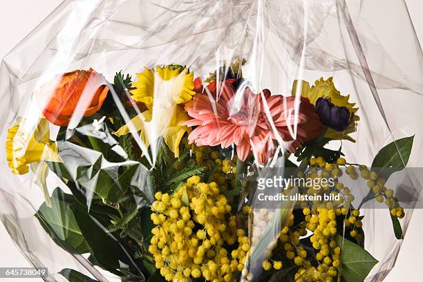 Blumenstrau? in Cellophan eingepackt - flower bouquet in cellophane packed