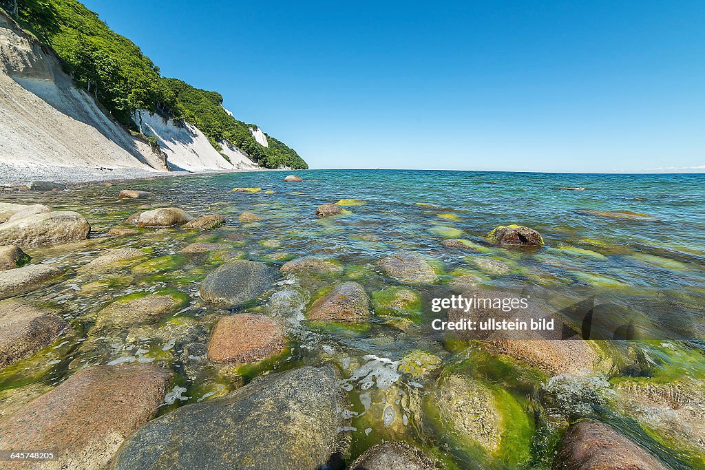 Kreidefelsen mit Rotbuchenwald auf Rügen News Photo - Getty Images