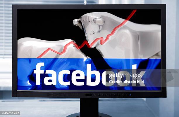 Computermonitor mit Facebook-Logo und Bulle und Bär, Börsengang von Facebook