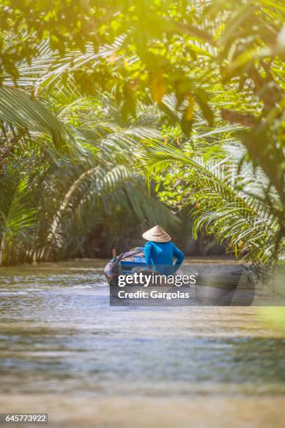 femme qui conduit un bateau dans le delta du mékong - mekong delta photos et images de collection