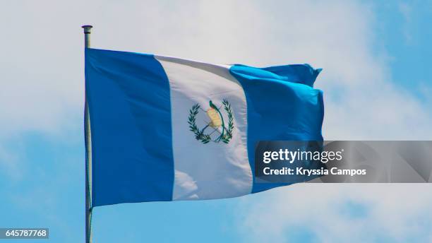 guatemalan flag - independance central america stock pictures, royalty-free photos & images