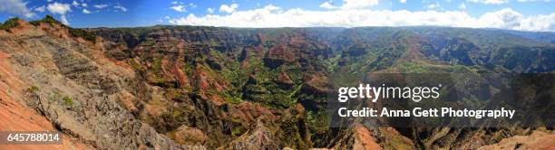 waimea canyon, kauai - waimea canyon state park stock pictures, royalty-free photos & images