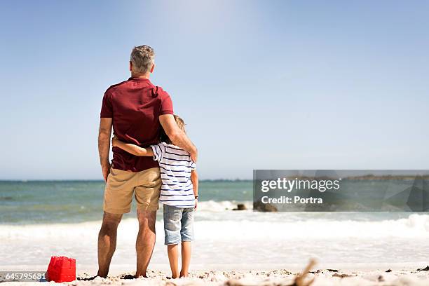 rear view of father and son standing on shore - arm around shoulder behind stock pictures, royalty-free photos & images