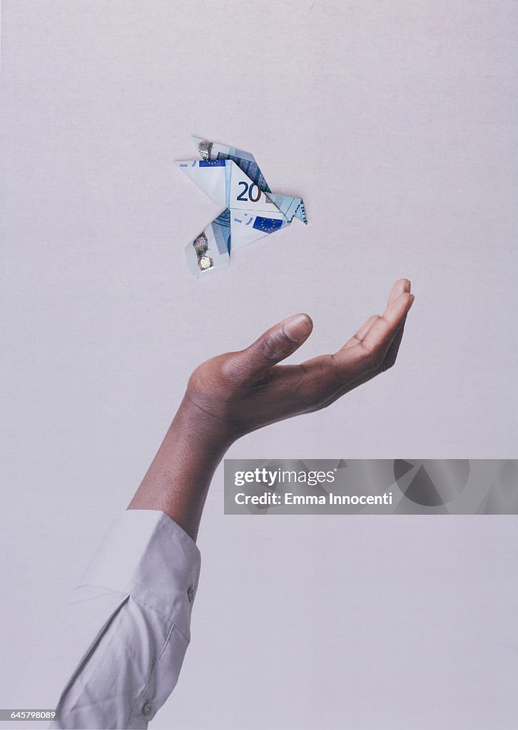 Hand catching a money bird