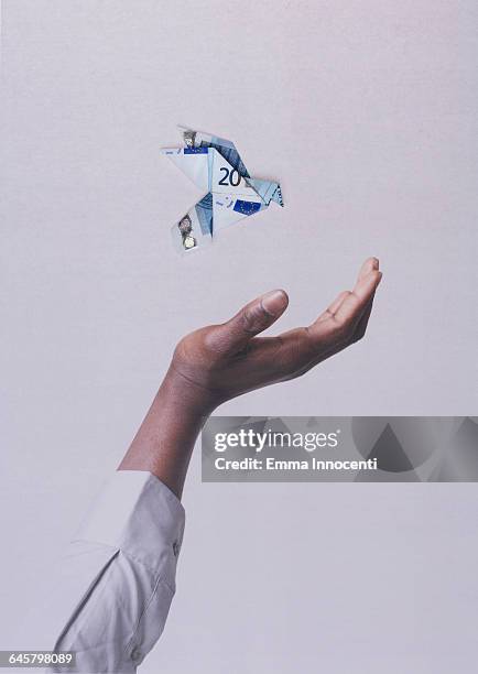 hand catching a money bird - origami stockfoto's en -beelden