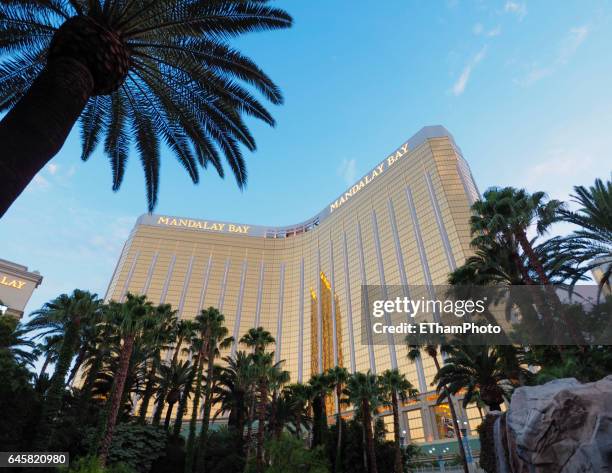 las vegas mandalay bay hotel and casino - mandalay bay resort & casino 個照片及圖片檔