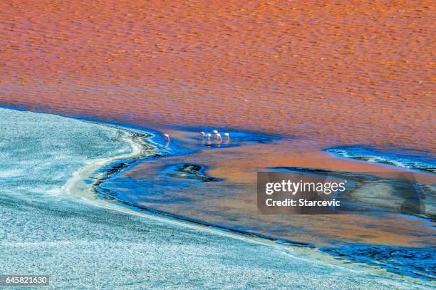 kleurrijke rode lagune op de salar de uyuni in bolivia - el alto stockfoto's en -beelden