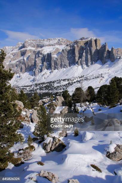 sella massive de dolomieten italië op winter - pejft stockfoto's en -beelden