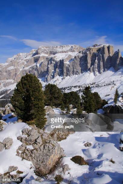 sella massive l’italie dolomites à l’hiver - pejft photos et images de collection