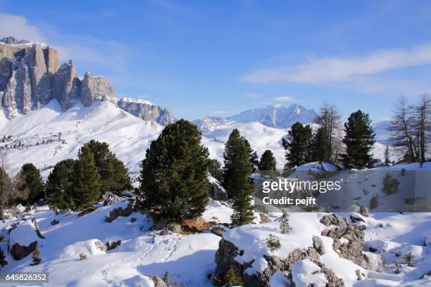 sella massive l’italie dolomites à l’hiver - pejft photos et images de collection