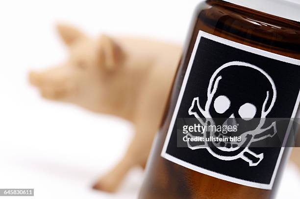 Miniaturschwein und Flasche mit Gift-Etikett, Symbolfoto für belastetes Schweinefleisch