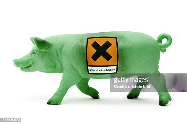 Grünes Miniaturschwein und Gefahrenzeichen, Symbolfoto für belastetes Schweinefleisch